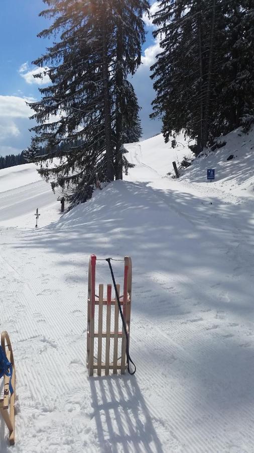 Hotel Garni Malerwinkl Bad Hindelang Esterno foto